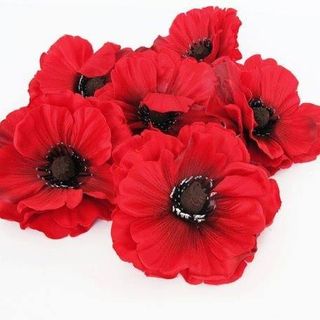 Steve Bartholomew's avatar