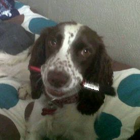 Adrian Firth's avatar