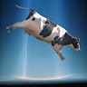 Fuzz 72's avatar