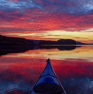 Shirley Davidson's avatar