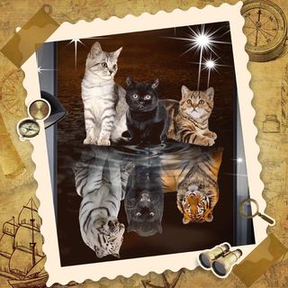 Aleida Boot's avatar