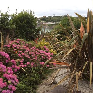 Rosemary Aggett's avatar