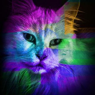 Lorraine Coles's avatar