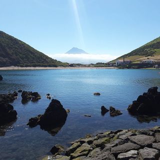 Virginia Sprason's avatar