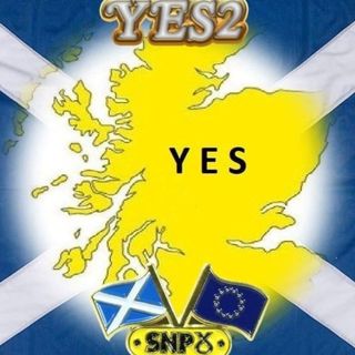 Sally Ann Urry's avatar