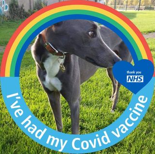 George Anderson's avatar