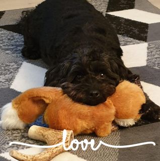 Eileen Connolly's avatar