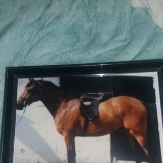 Cindy Smith's avatar