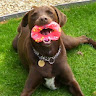 sara brooks's avatar