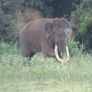 Colin Parker's avatar