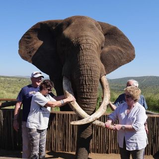 Pauline Camm's avatar