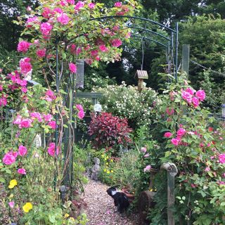 Averil Rae Bradley's avatar