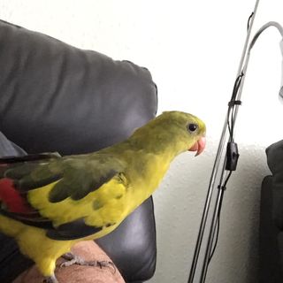 Gilbert Mcgovern's avatar