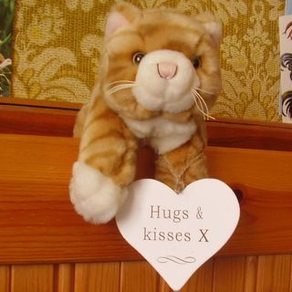 Brian Rochester's avatar