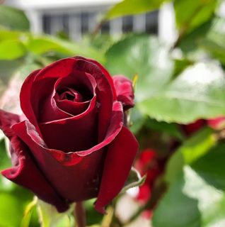 Geoff Starling's avatar