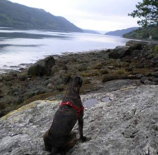 Carol McKay's avatar