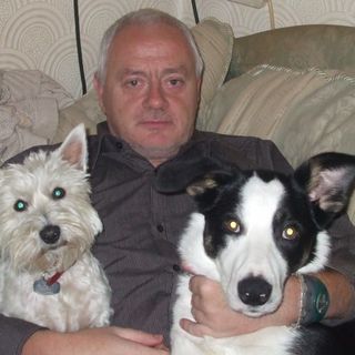 Paul Wilson's avatar