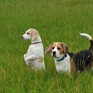 Janine Baird's avatar