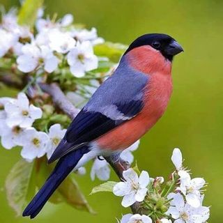 Kevin Oconnor's avatar