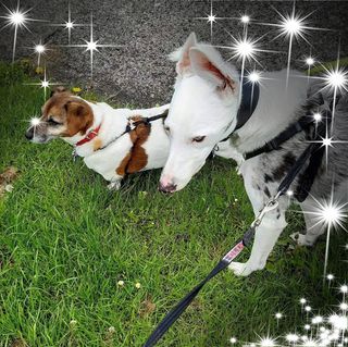 Christine Wooler's avatar