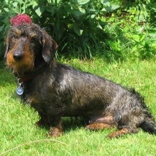 Matthew Turley's avatar