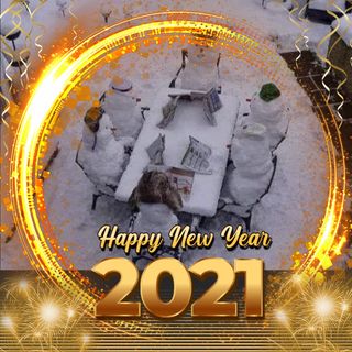 Leslie Allan McDonald's avatar