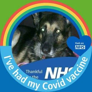 Brian Coulter's avatar