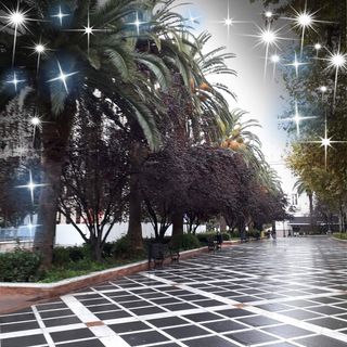 Adela Nuttall's avatar