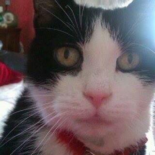 Kath Oliver's avatar