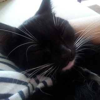 Gillian Brewster's avatar