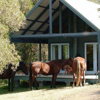 John Trotter's avatar