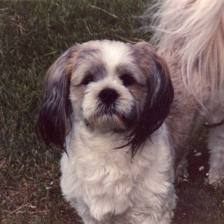 Nick Howell's avatar