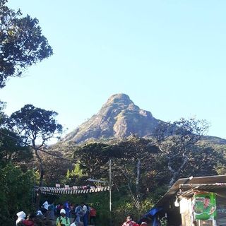 John McManus's avatar