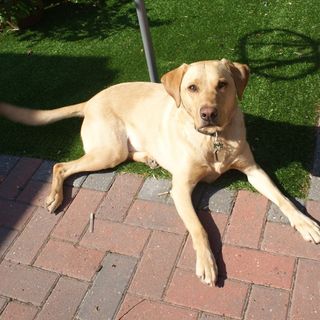 Graham Boldy's avatar