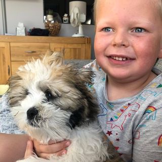 Marie Moreman's avatar