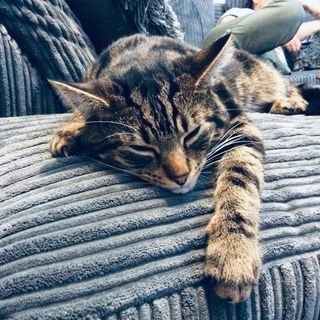 Joseph Colins's avatar