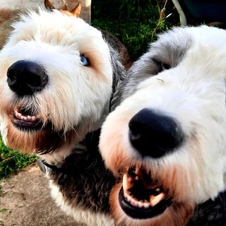 Kath Hofmann's avatar