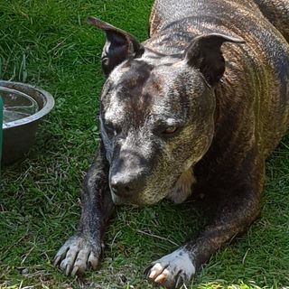 Jim Gunner Ward's avatar