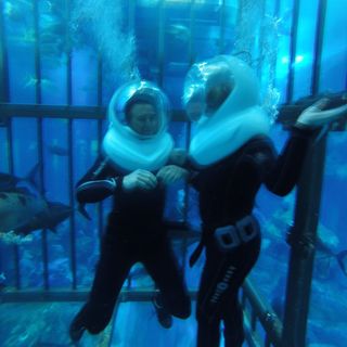 Darren Hodder's avatar