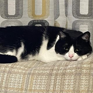 Derek Spall's avatar