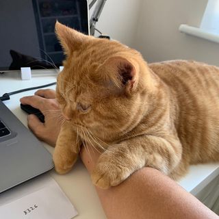 Yvonne Truman's avatar