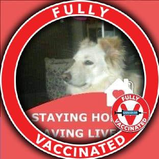 Patricia Coombes's avatar