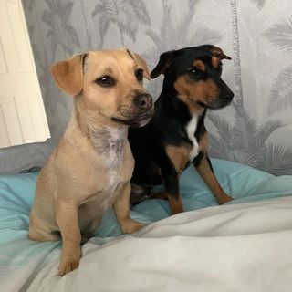 Nicola Ellis's avatar