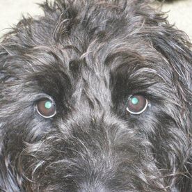 Jennifer Smith's avatar