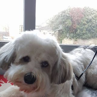 Lesley Robinson's avatar