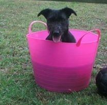 Sue Shirley-Ward's avatar