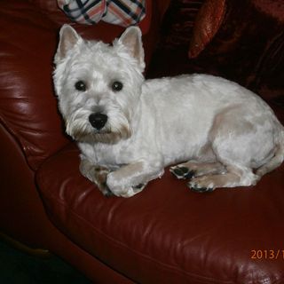 Ian Redfern's avatar