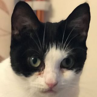 Sandra Walker's avatar