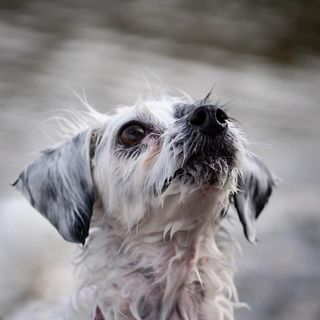 Julie Tough's avatar