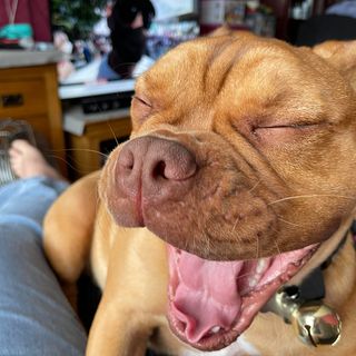 Christopher David Frost's avatar